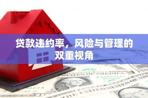 马尔康贷款违约率，风险与管理的双重视角