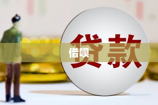 金湖借呗
