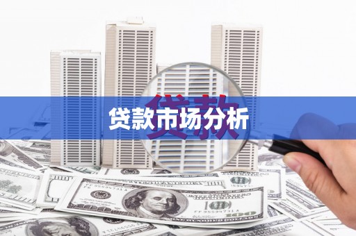 高树贷款市场分析