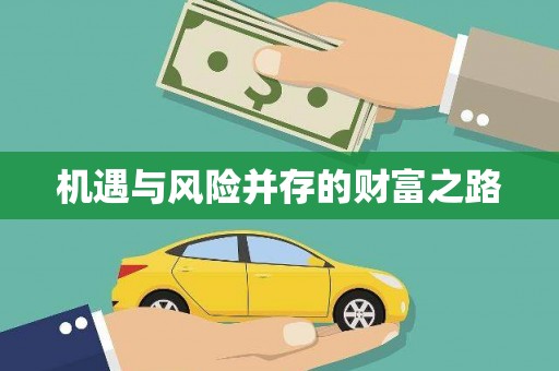 苓雅机遇与风险并存的财富之路