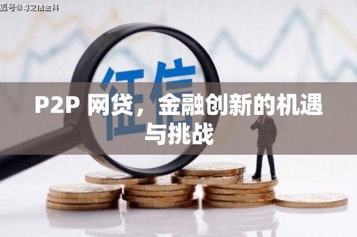 港南P2P 网贷，金融创新的机遇与挑战