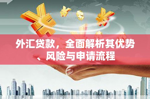 乡城外汇贷款，全面解析其优势、风险与申请流程