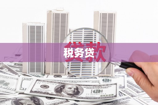 垣曲税务贷