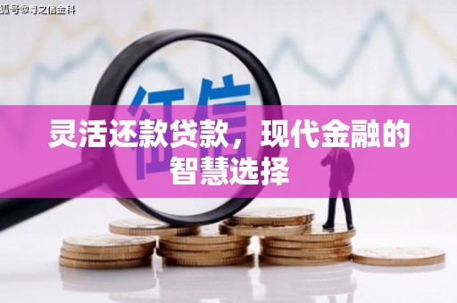 罗东灵活还款贷款，现代金融的智慧选择