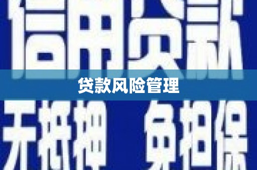 来宾贷款风险管理