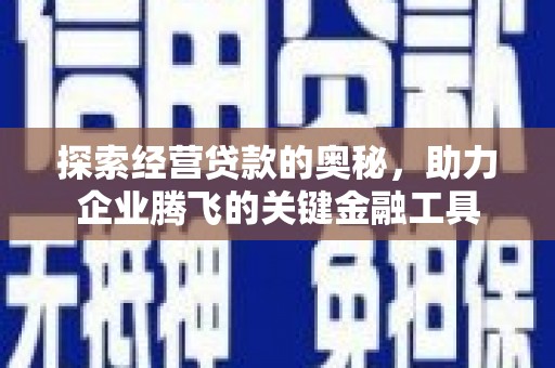海拉尔探索经营贷款的奥秘，助力企业腾飞的关键金融工具