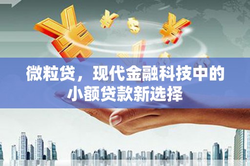 金湖微粒贷，现代金融科技中的小额贷款新选择