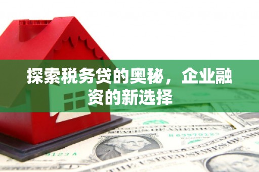 张掖探索税务贷的奥秘，企业融资的新选择