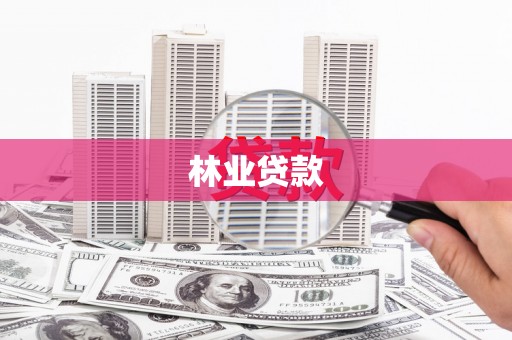 双河林业贷款