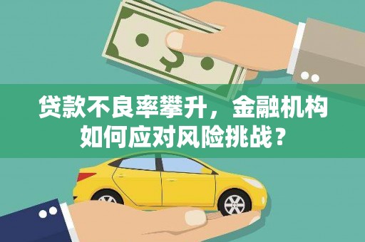 冕宁贷款不良率攀升，金融机构如何应对风险挑战？