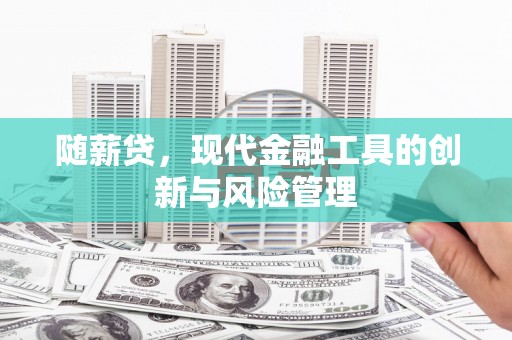 嵩县随薪贷，现代金融工具的创新与风险管理