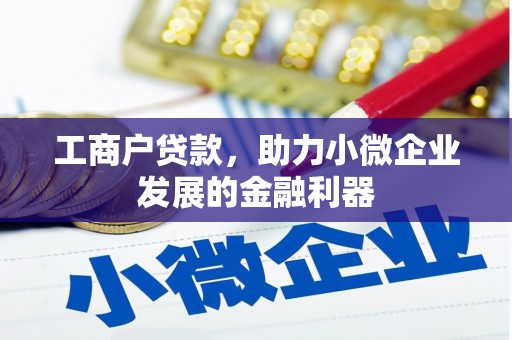 玉屏工商户贷款，助力小微企业发展的金融利器