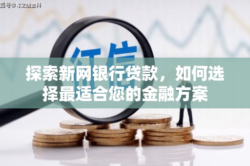 海盐探索新网银行贷款，如何选择最适合您的金融方案