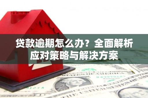 水城贷款逾期怎么办？全面解析应对策略与解决方案