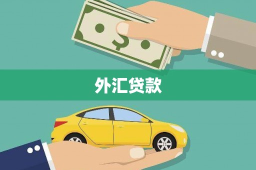 涵江外汇贷款