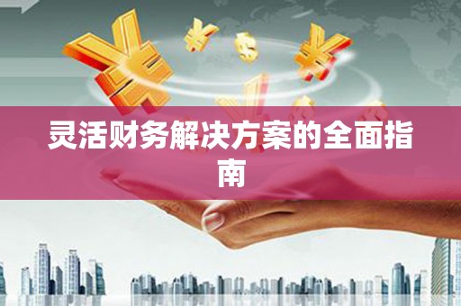 荔湾灵活财务解决方案的全面指南