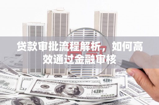 阳春贷款审批流程解析，如何高效通过金融审核