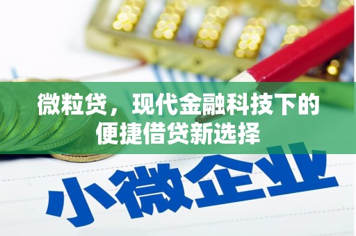 曾都微粒贷，现代金融科技下的便捷借贷新选择