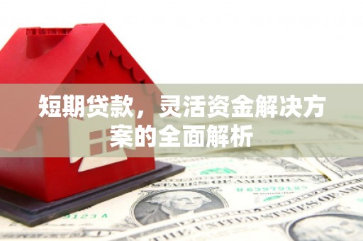 柳南短期贷款，灵活资金解决方案的全面解析
