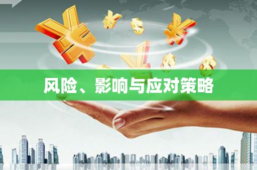 师宗风险、影响与应对策略