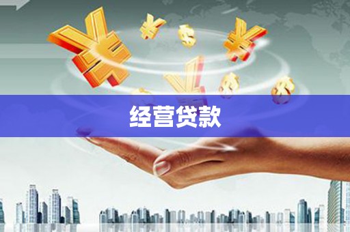 巧家经营贷款