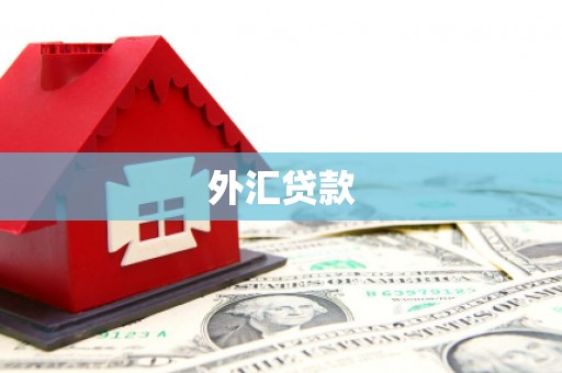 巴中外汇贷款