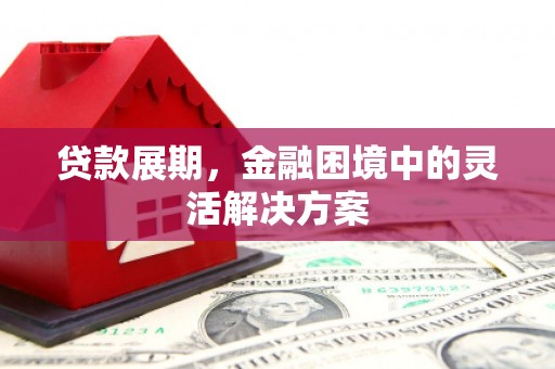 新郑贷款展期，金融困境中的灵活解决方案
