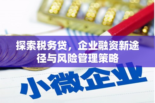 胶州探索税务贷，企业融资新途径与风险管理策略
