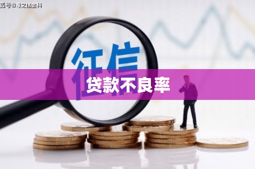 台西贷款不良率