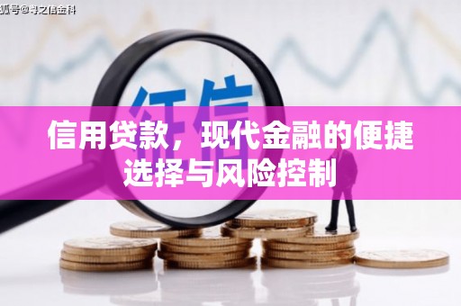 内埔信用贷款，现代金融的便捷选择与风险控制