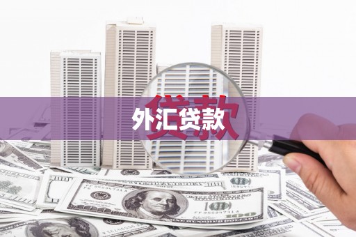 沁源外汇贷款