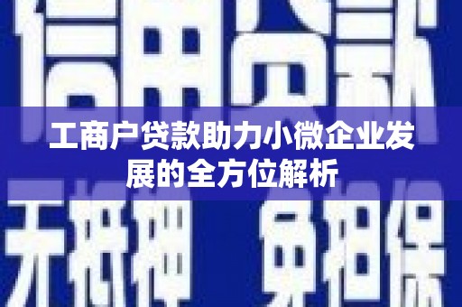 剑河工商户贷款助力小微企业发展的全方位解析