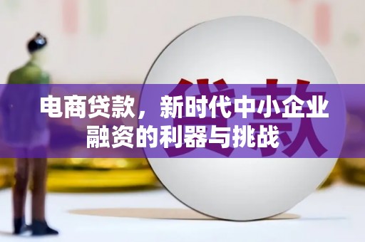 顺城电商贷款，新时代中小企业融资的利器与挑战