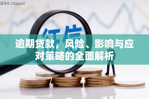 巴里坤逾期贷款，风险、影响与应对策略的全面解析