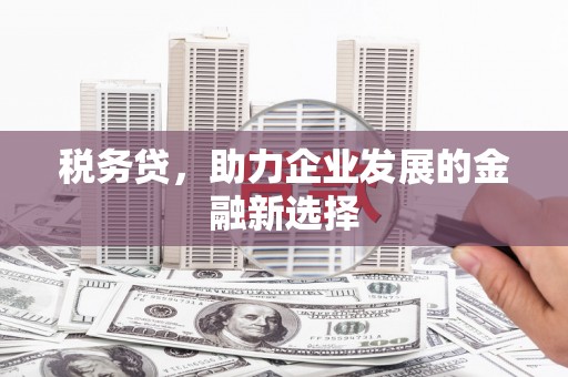 泽普税务贷，助力企业发展的金融新选择