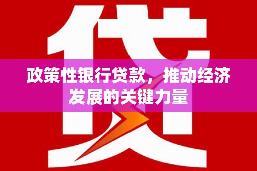 顺城政策性银行贷款，推动经济发展的关键力量