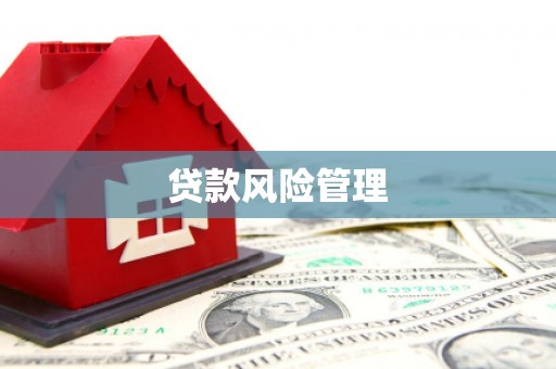 勐海贷款风险管理
