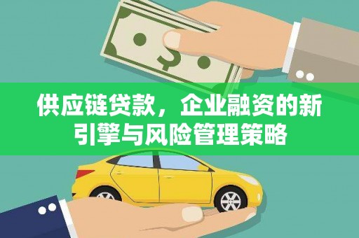 宁洱供应链贷款，企业融资的新引擎与风险管理策略