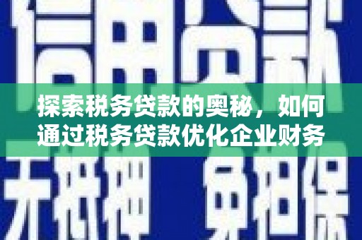 怒江探索税务贷款的奥秘，如何通过税务贷款优化企业财务