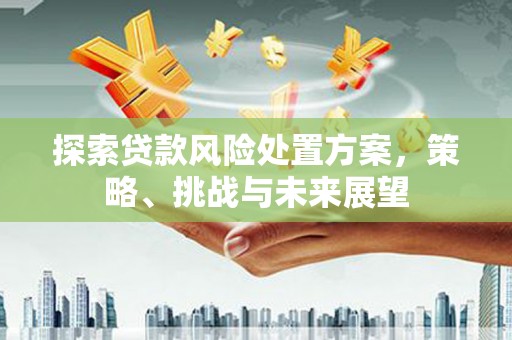 铜梁探索贷款风险处置方案，策略、挑战与未来展望