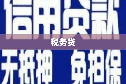 乐东税务贷
