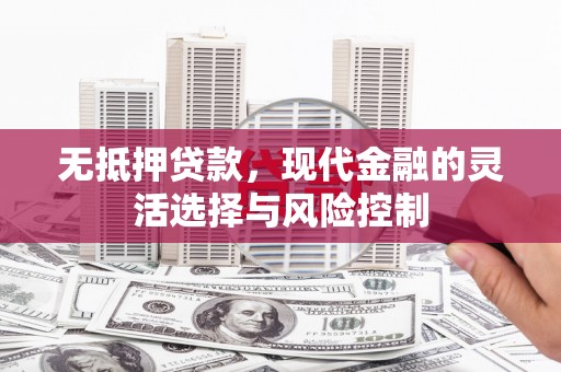 盐津无抵押贷款，现代金融的灵活选择与风险控制