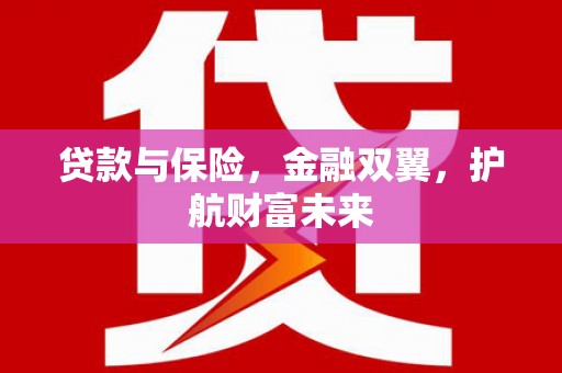 蕉城贷款与保险，金融双翼，护航财富未来