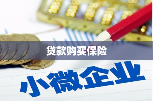 江门贷款购买保险
