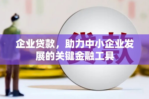 瑞芳企业贷款，助力中小企业发展的关键金融工具