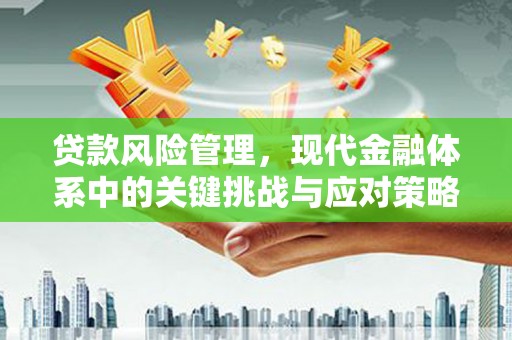 玉东贷款风险管理，现代金融体系中的关键挑战与应对策略