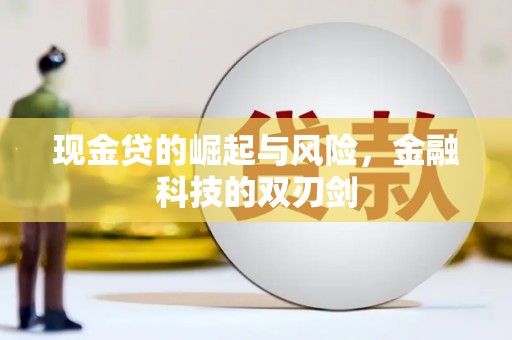 金东现金贷的崛起与风险，金融科技的双刃剑