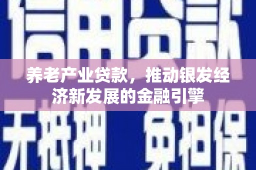水城养老产业贷款，推动银发经济新发展的金融引擎