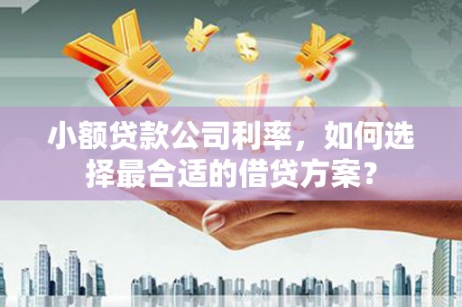 荃湾小额贷款公司利率，如何选择最合适的借贷方案？