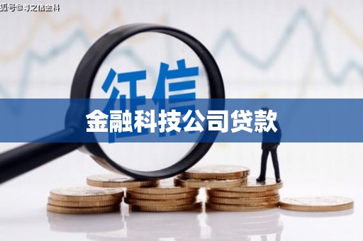 丰原金融科技公司贷款